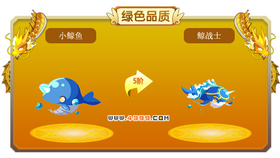 龙斗士小鲸鱼-鲸战士进化图鉴 属性