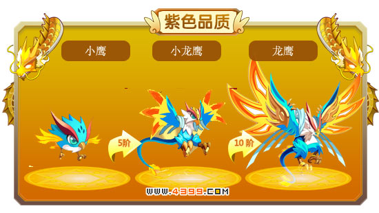 龙斗士小鹰-小龙鹰-龙鹰进化图鉴 属性