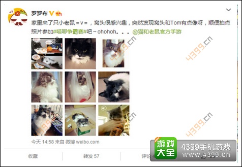 猫和老鼠官方手游公测