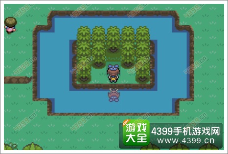 漆黑的魅影雪拉比