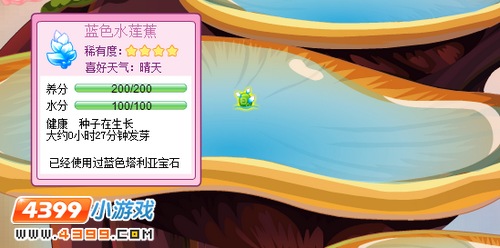 小花仙蓝色水蕉蕉