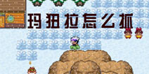 口袋妖怪漆黑的魅影玛狃拉怎么抓 玛狃拉在哪 