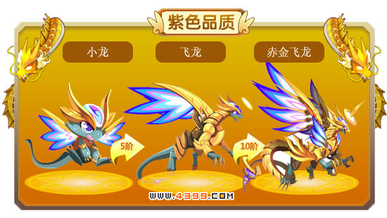 龙斗士小龙-飞龙-赤金飞龙进化图鉴 属性