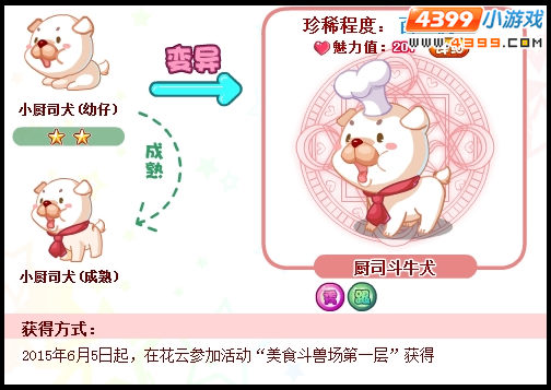 奥比岛厨司斗牛犬怎么得
