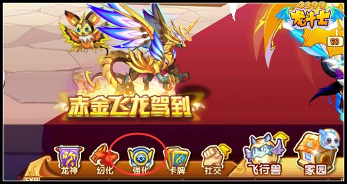 龙斗士魂印武器图标在哪里