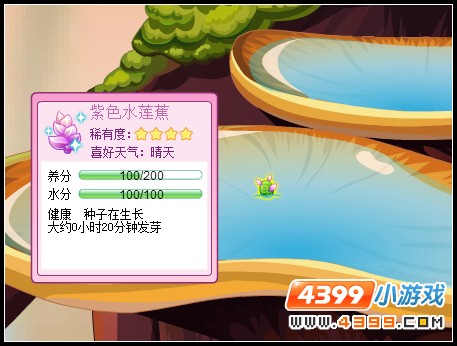 小花仙紫色水蕉蕉来袭