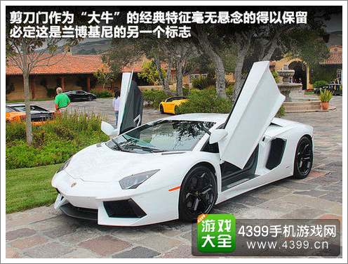 兰博基尼实车