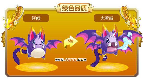 龙斗士阿蝠-大嘴蝠进化图鉴 属性
