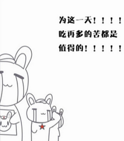 那年那兔那些事儿