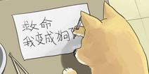 绘本塔防单机手游《超能动物联盟》内容大曝光