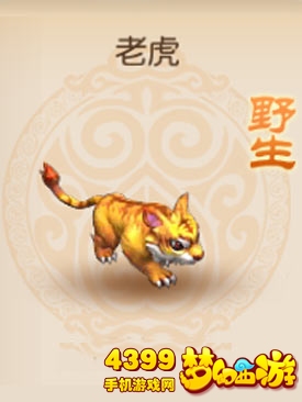 梦幻西游手游野生老虎属性