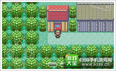 口袋妖怪极光石