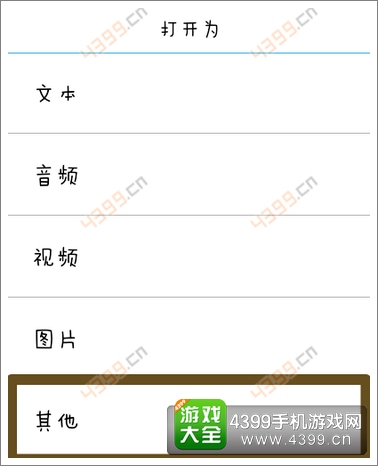 口袋妖怪漆黑的魅影