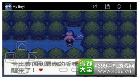 口袋妖怪极光石卡比兽
