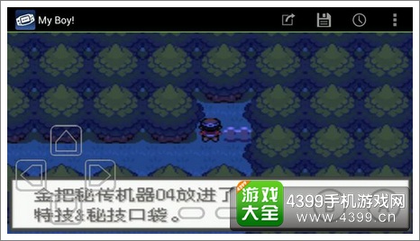 口袋妖怪极光石