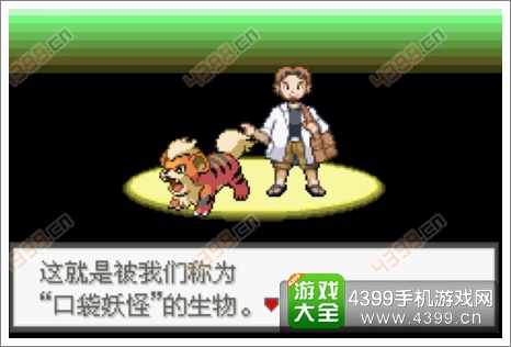 口袋妖怪极光石