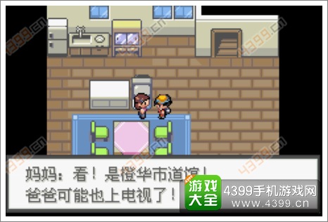 口袋妖怪极光石