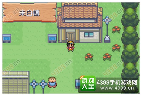 口袋妖怪极光石