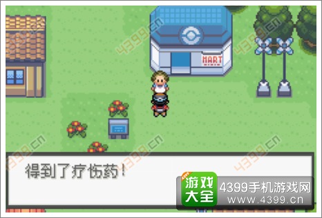 口袋妖怪极光石