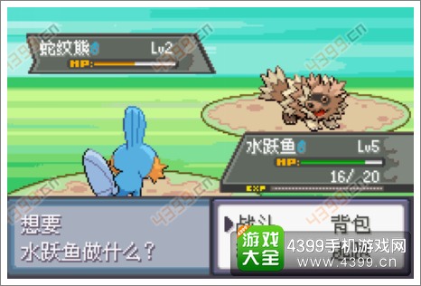 口袋妖怪极光石