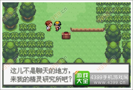 口袋妖怪极光石