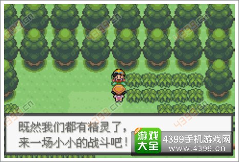 口袋妖怪极光石