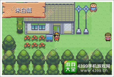 口袋妖怪极光石