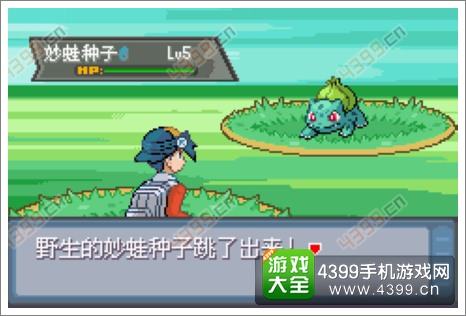 口袋妖怪极光石