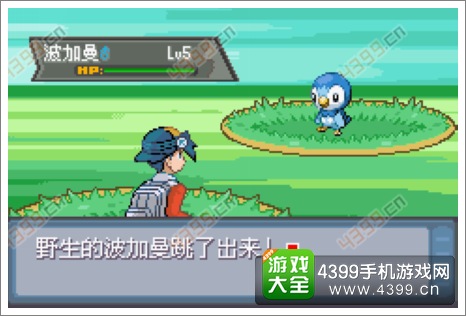 口袋妖怪极光石