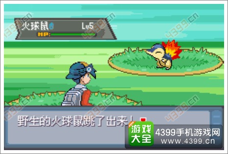 口袋妖怪极光石
