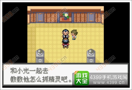 口袋妖怪极光石