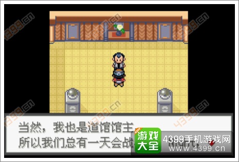 口袋妖怪极光石