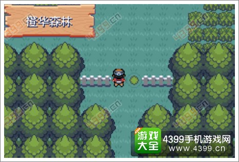 口袋妖怪极光石