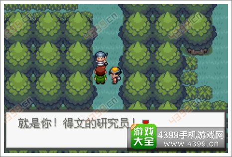 口袋妖怪极光石