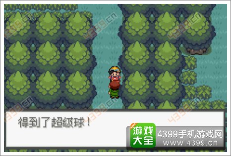 口袋妖怪极光石