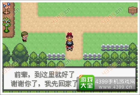 口袋妖怪极光石
