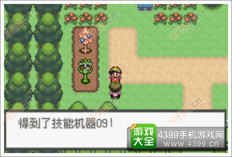 口袋妖怪极光石