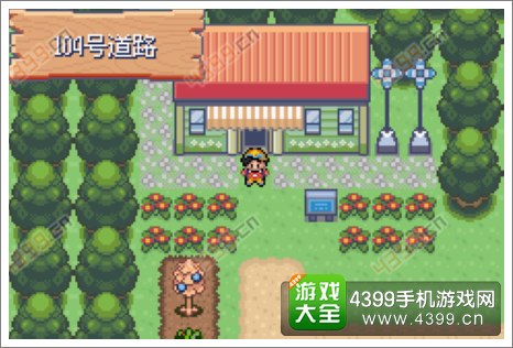 口袋妖怪极光石