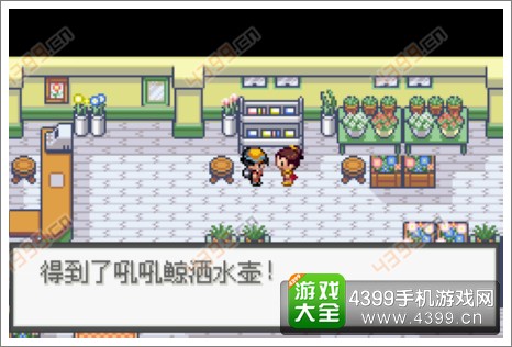 口袋妖怪极光石