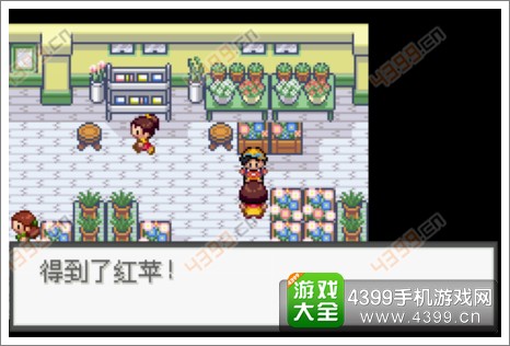 口袋妖怪极光石