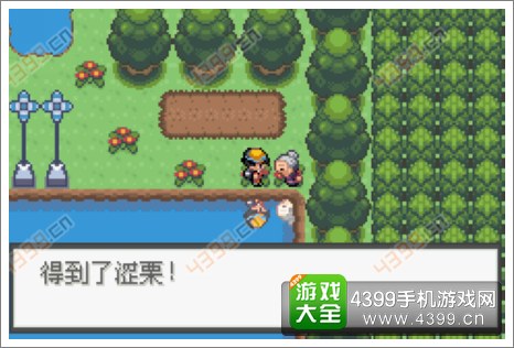 口袋妖怪极光石