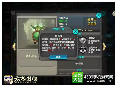太极熊猫双面大盗