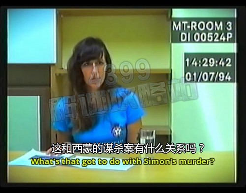 Her Story怎么玩
