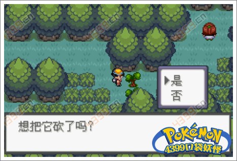 口袋妖怪极光石武斗镇