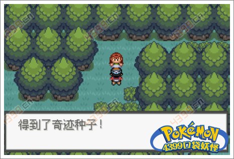 口袋妖怪极光石武斗镇