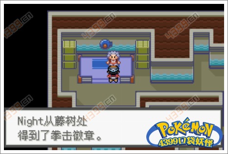 口袋妖怪极光石武斗镇