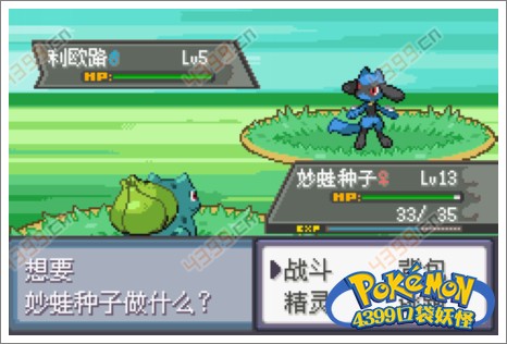 口袋妖怪极光石武斗镇