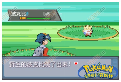 口袋妖怪极光石武斗镇
