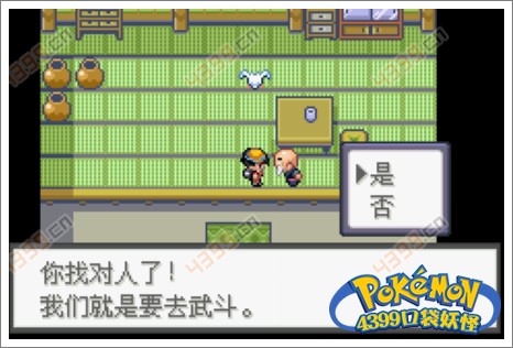 口袋妖怪极光石武斗镇
