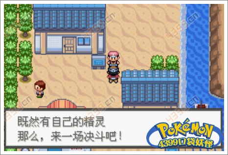 口袋妖怪极光石武斗镇